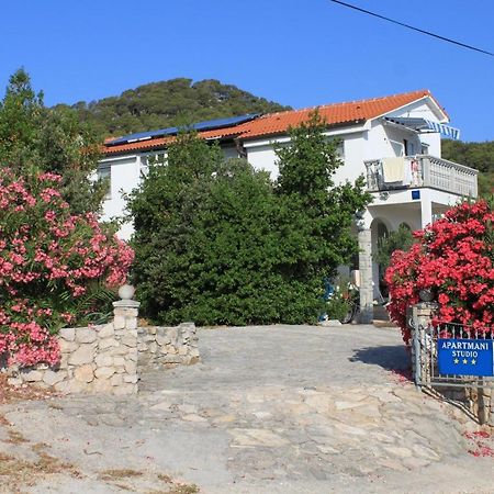 Apartments With A Parking Space Preko, Ugljan - 8224 Εξωτερικό φωτογραφία