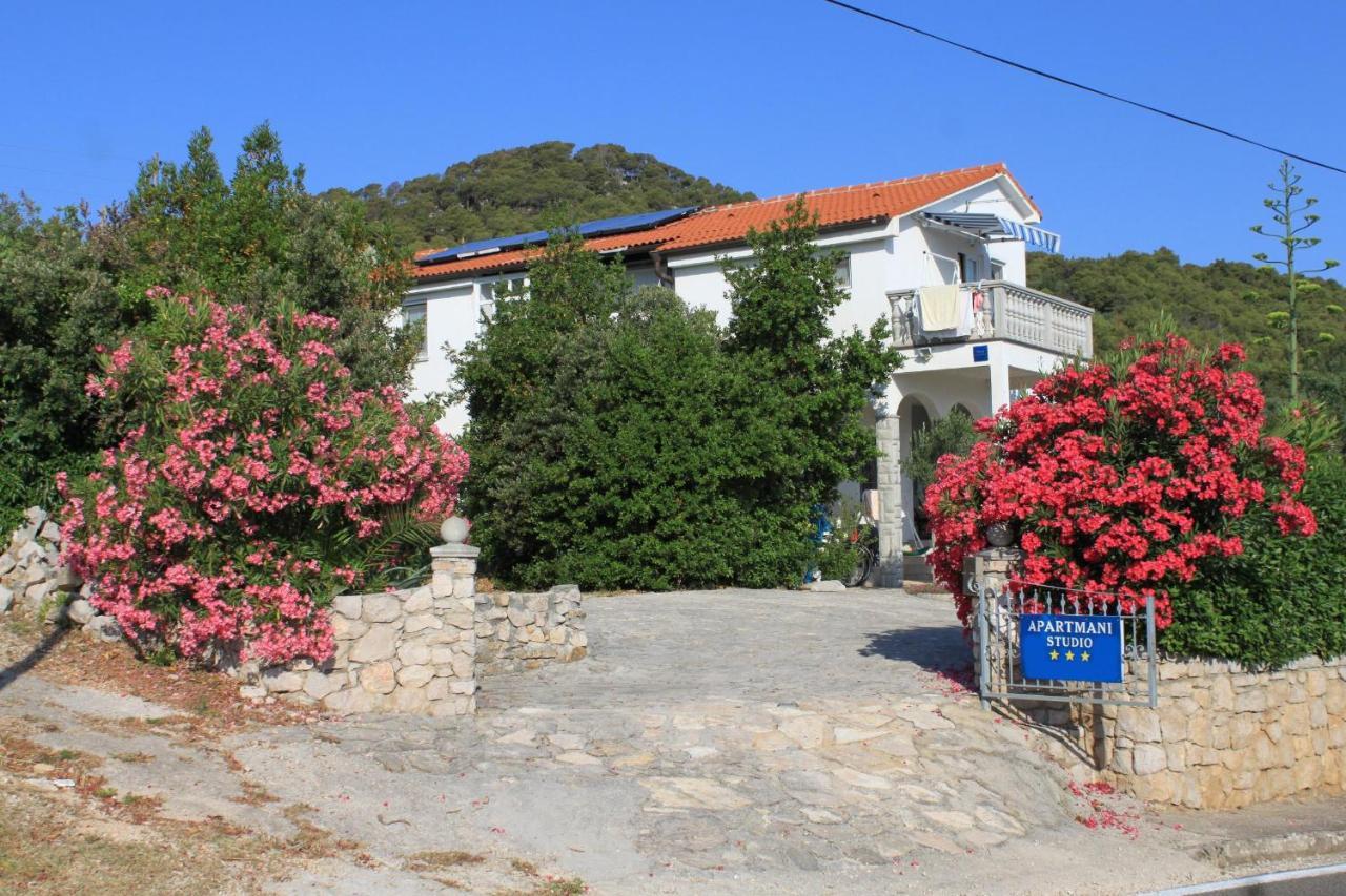 Apartments With A Parking Space Preko, Ugljan - 8224 Εξωτερικό φωτογραφία