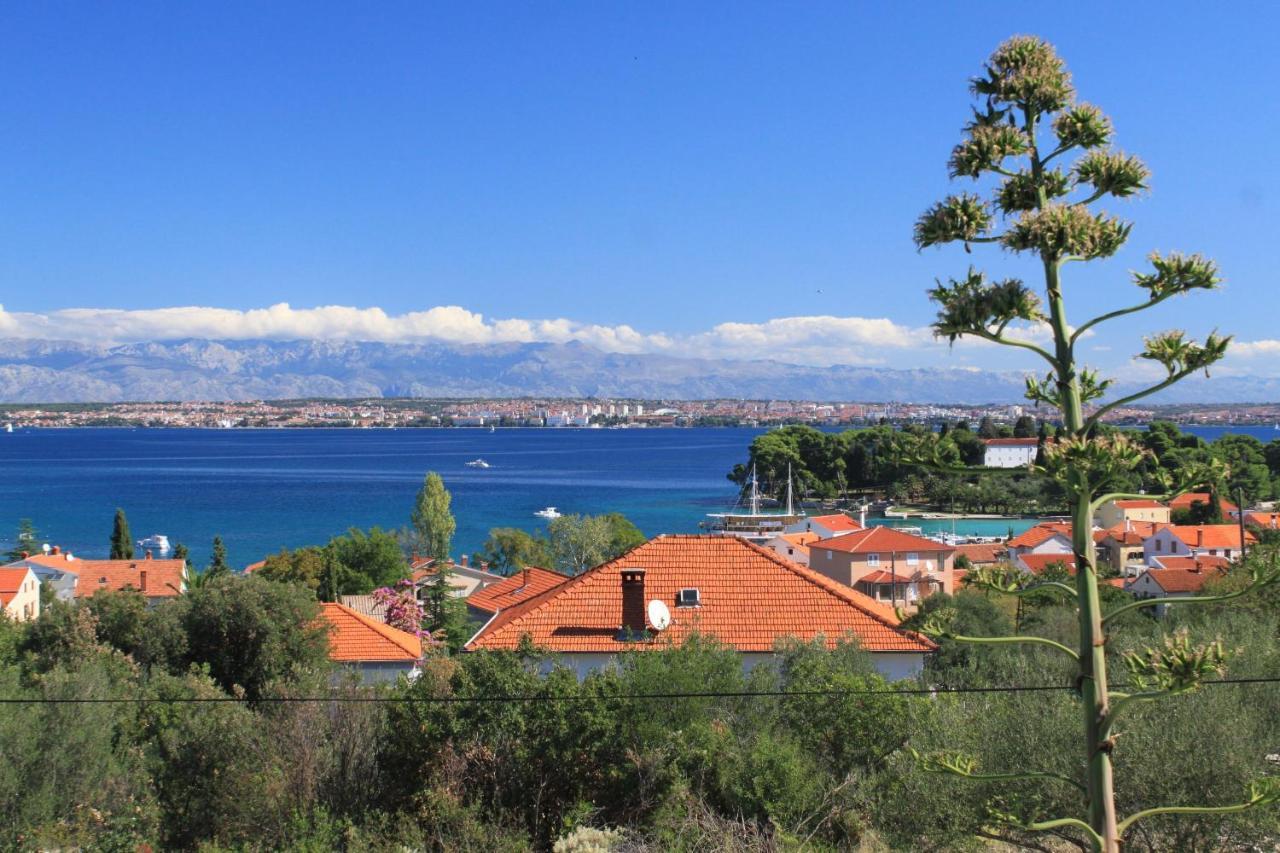 Apartments With A Parking Space Preko, Ugljan - 8224 Εξωτερικό φωτογραφία